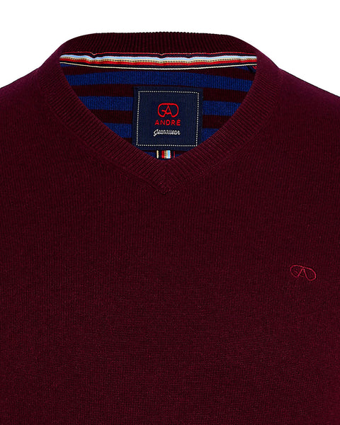 Andre - Valencia Burgundy V  Neck Knitwear