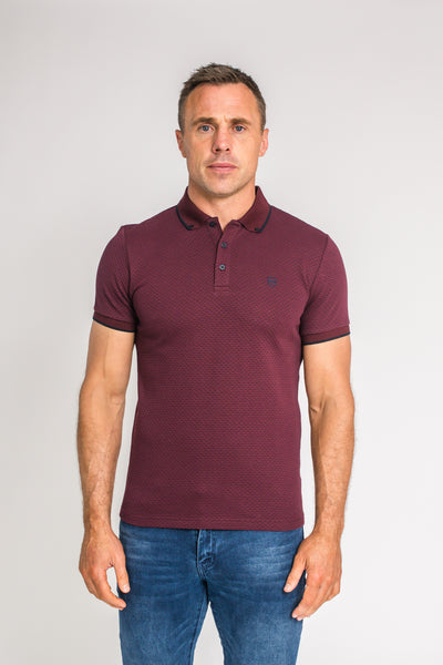 Tommy Bowe- Xv Kings - Congo - Plummed Brick