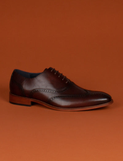 Tommy Bowe Footwear - Carbonel Chestnut Formal Shoe